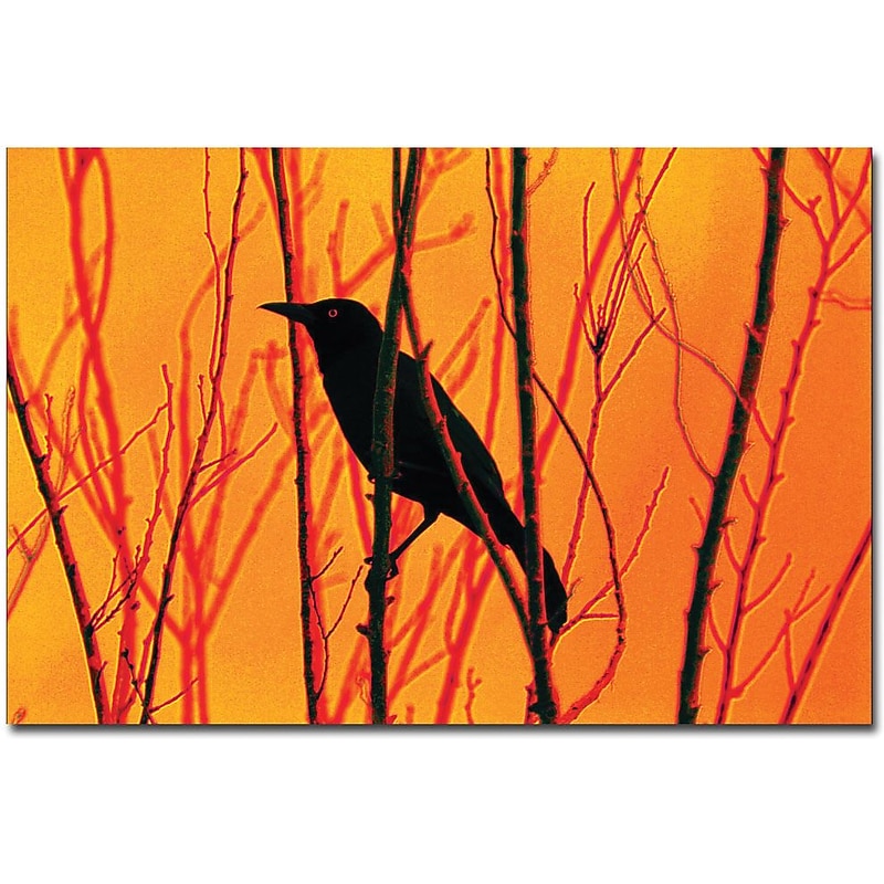 Trademark Global Patty Tuggle "Blackbird Dreams" Canvas Art, 14" x 19" image 1