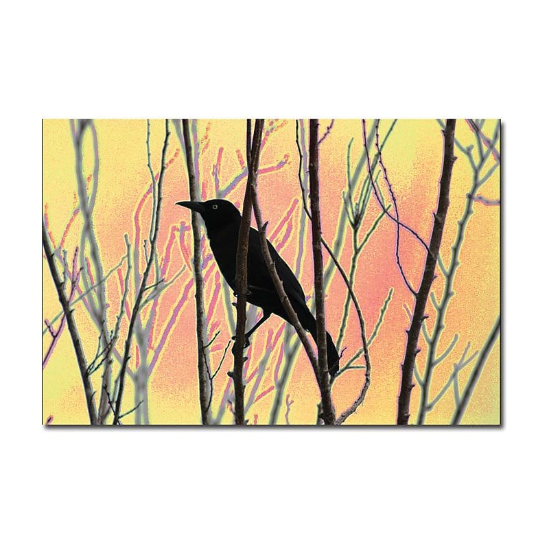 Trademark Global Patty Tuggle "Blackbird Dreams I" Canvas Art, 16" x 24" image 1