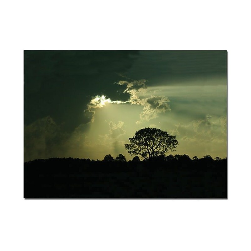 Trademark Global Patty Tuggle "Light and Dark" Canvas Art, 16" x 24" image 1