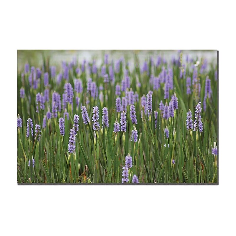 Trademark Global Patty Tuggle "Purple Lake Flowers" Canvas Art, 16" x 24" image 1