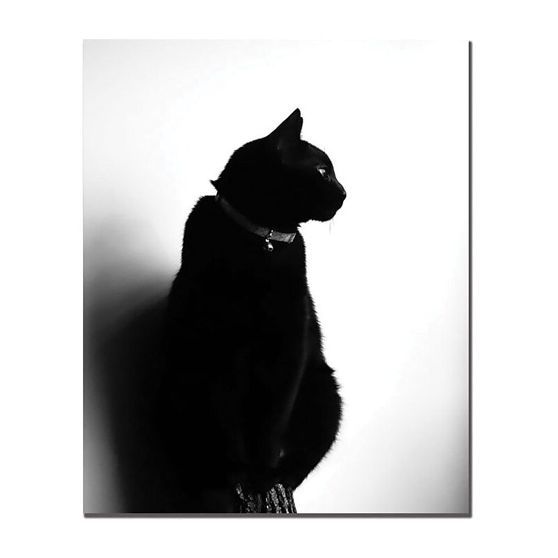 Trademark Global Tammy Davison "Chat Noir" Canvas Art, 19" x 14" image 1