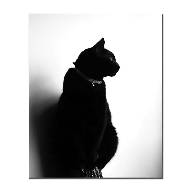 Trademark Global Tammy Davison "Chat Noir" Canvas Art, 24" x 18" image 1