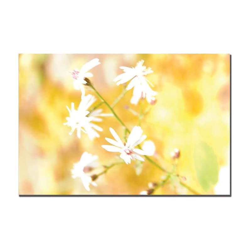 Trademark Global Tammy Davison "Flowers" Canvas Art, 16" x 24" image 1