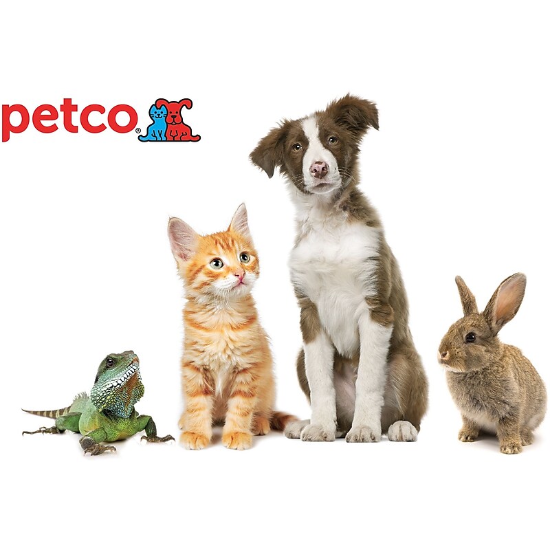 Petco Gift Card, $100 image 1