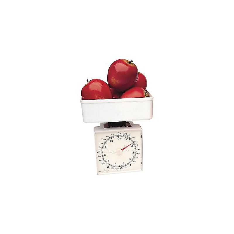 Learning Resources Measuring Tools, Platform Scales, 11 lbs. (LER2345) image 1