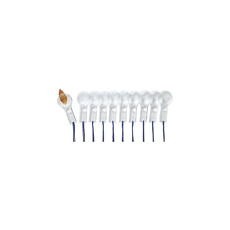 Learning Resources Dual Lens Magnifiers, White, 10/Set (LER2046) image 1