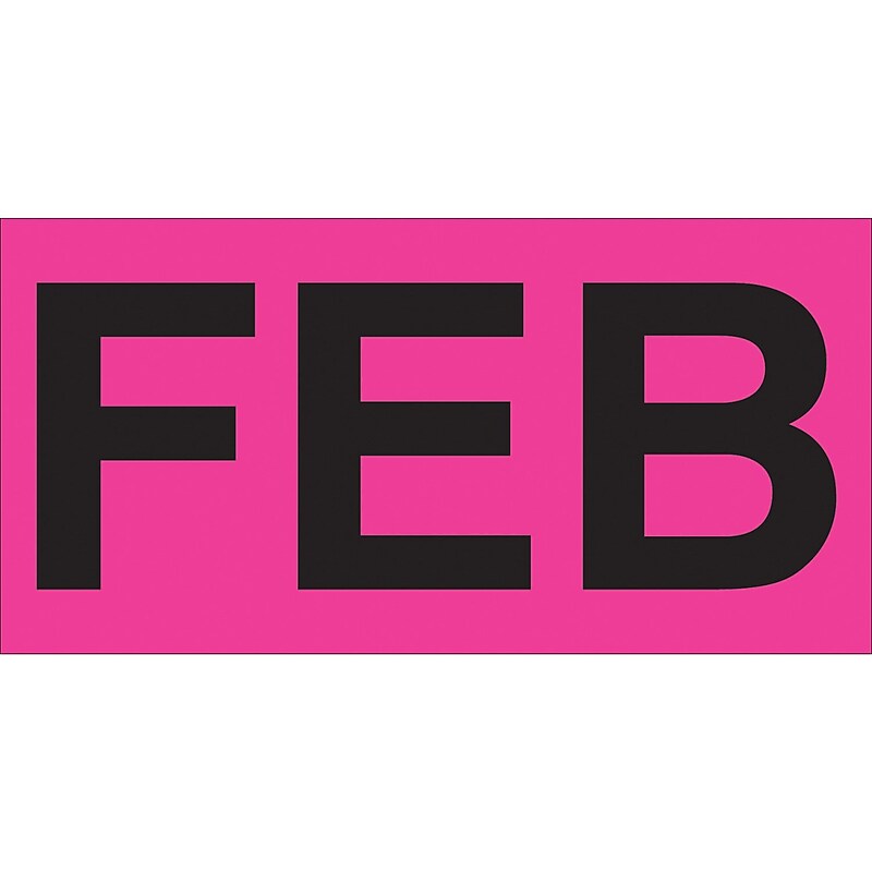 Tape Logic 6" x 3" Rectangle "FEB" Months of the Year Label, Fluorescent Pink, 500/Roll image 1
