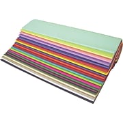 BOX 20" x 30" Popular Tissue Paper Assortment Pack, 480 Sheets