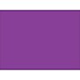 Tape Logic 5" x 7" Rectangle Inventory Label, Purple, 500/Roll~#|#~s0709043_sc7