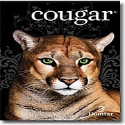 Cougar 65 lb. Cover Paper, 8.5" x 11", White, 250 Sheets/Pack (2985)