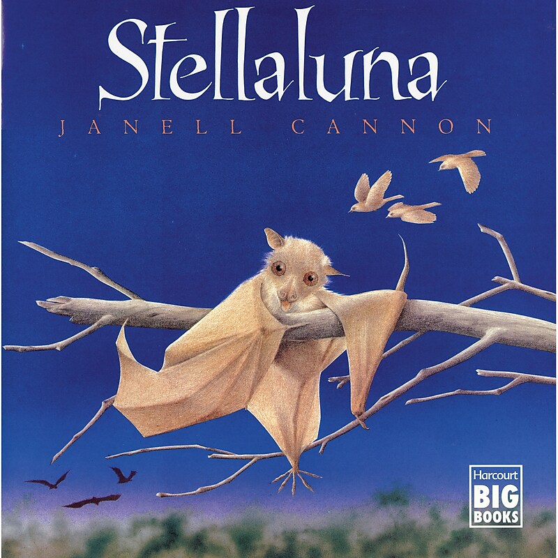 Stellaluna Big Book image 1