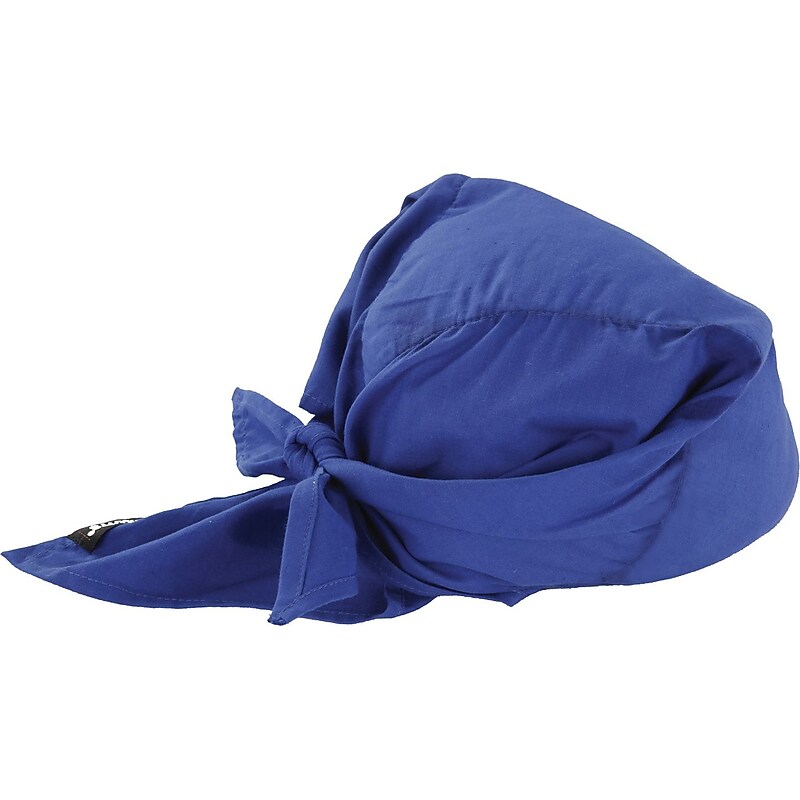 Ergodyne Chill-Its 6710 Cooling Towel, Blue, One Size, 6/Carton (12587) image 1