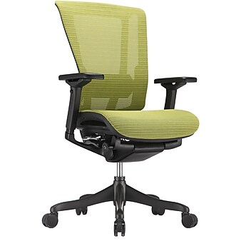 Raynor Nefil Elite Mesh Computer and Desk Office Chair, Fixed Arms, Retail (23564R)