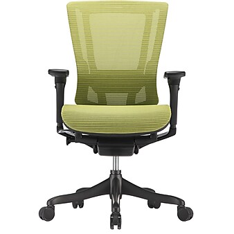 Raynor Nefil Elite Mesh Computer and Desk Office Chair, Fixed Arms, Retail (23564R)