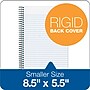 TOPS Classified Colors 1-Subject Notebooks, 5.5" x 8.5", Narrow Ruled, 100 Sheets, Gray/Silver (73507)~#|#~s0756034_sc7