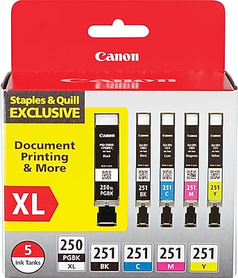 Canon PGI 250 XL/CLI-251 Special Edition Black/Color Ink Cartridge, High Yield, 5/Pack (6432B011) Sansujyuku sansujyuku.com