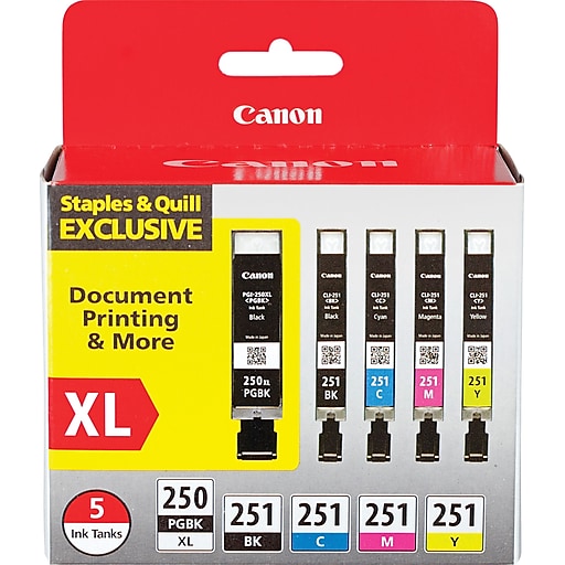 svamp Renovering onsdag Canon PGI 250 XL/CLI-251 Special Edition Black/Color Ink Cartridge, High  Yield, 5/Pack (6432B011) | Staples
