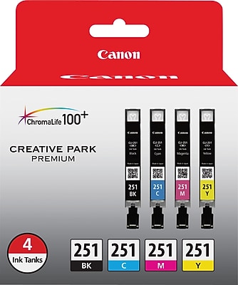 Canon 251 Black/Cyan/Magenta/Yellow Ink Cartridge, 4/Pack   (6513B004) Sansujyuku sansujyuku.com