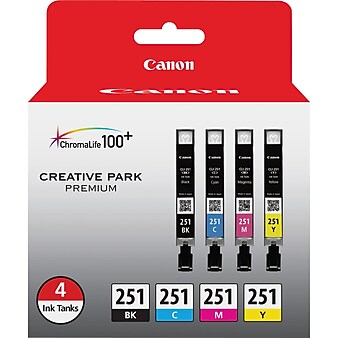 Canon CLI-251 Black/Cyan/Magenta/Yellow Standard Yield Ink Cartridge, 4/Pack (6513B004)