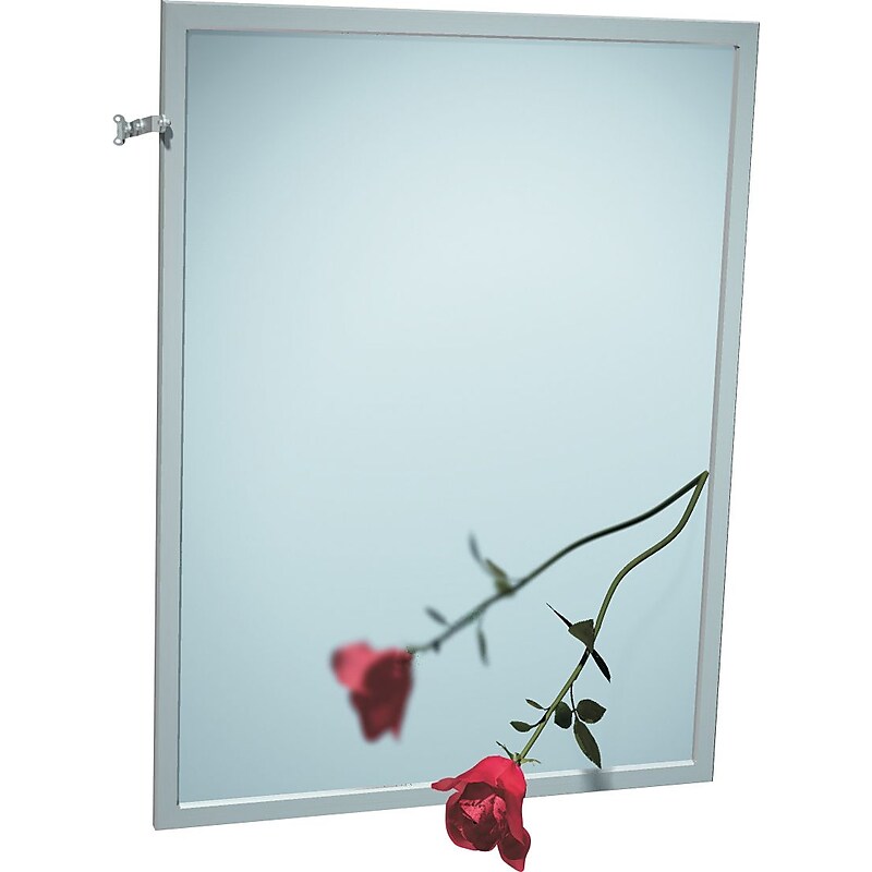 ASI® Adjustable Tilt InterLok Plate Glass Mirror, 18" x 36" image 1