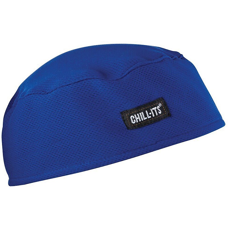 Ergodyne Chill-Its High-Performance Cooling Beanie, Blue, One Size, 6/Carton (12510) image 1