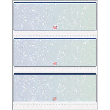 Paris DocuGard 8.5" x 11" Business Security Check In Middle, 24 lbs., Blue, 500 Sheets/Ream (PRB04539)