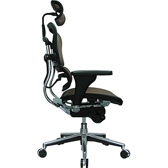 Raynor Eurotech Ergo human High Back Managers Chair, with Headrest and Mesh, Orange