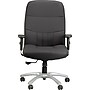 Raynor Eurotech Excelsior Fabric Big and Tall Manager's Chair, Black (BM90000-BLK)~#|#~s0819044_sc7