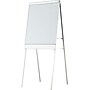Iceberg Polarity Dry Erase Flipchart Easel, 73"H~#|#~s0841074_sc7