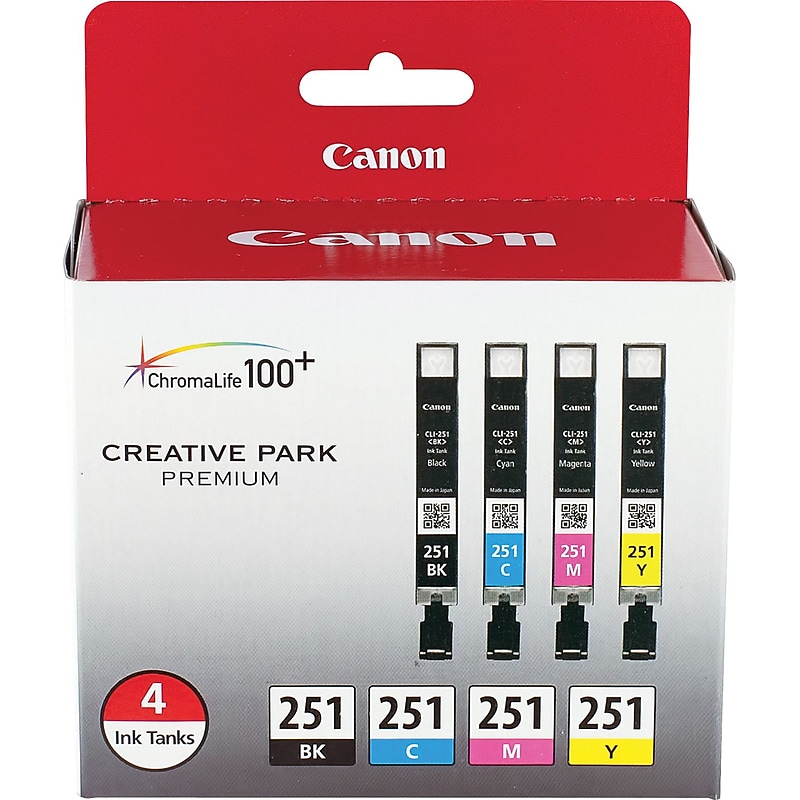 Canon 251 Black/Cyan/Magenta/Yellow Ink Cartridge, 4/Pack   (6513B004) image 1