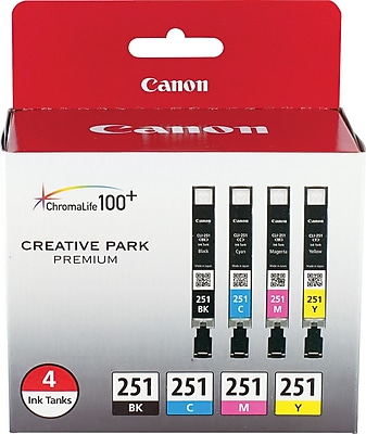 Canon 251 Black/Cyan/Magenta/Yellow Ink Cartridge, 4/Pack   (6513B004) Sansujyuku sansujyuku.com