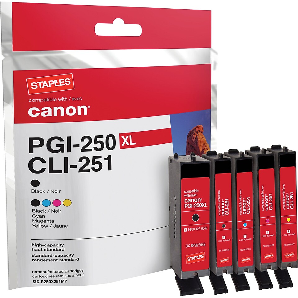 Remanufactured Black and C/M/Y Color Ink Cartridges, Canon PGI 250/CLI 251 (SIC R250X251MP), Combo 4/Pack