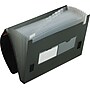 Pendaflex Heavy Duty Four Inch Expansion File, 13 Pockets, Poly, Letter, Black (82011EE)~#|#~s0867228_sc7