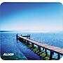 Allsop Naturesmart Non-Skid Mouse Pad, Pier (30868)~#|#~s0873947_sc7