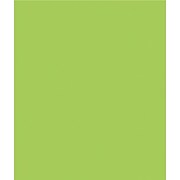 20" x 30" Waxed Tissue Paper, Citrus Green