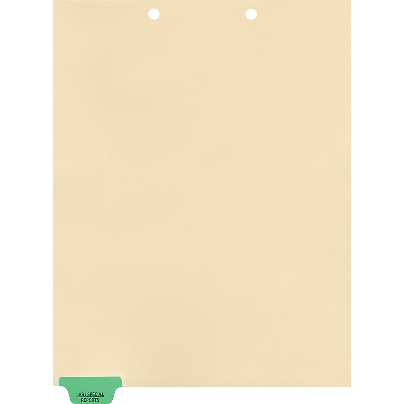 Medical Arts Press® Position 1 Colored End-Tab Chart Dividers, Lab/Special Reports, Lt. Green image 1