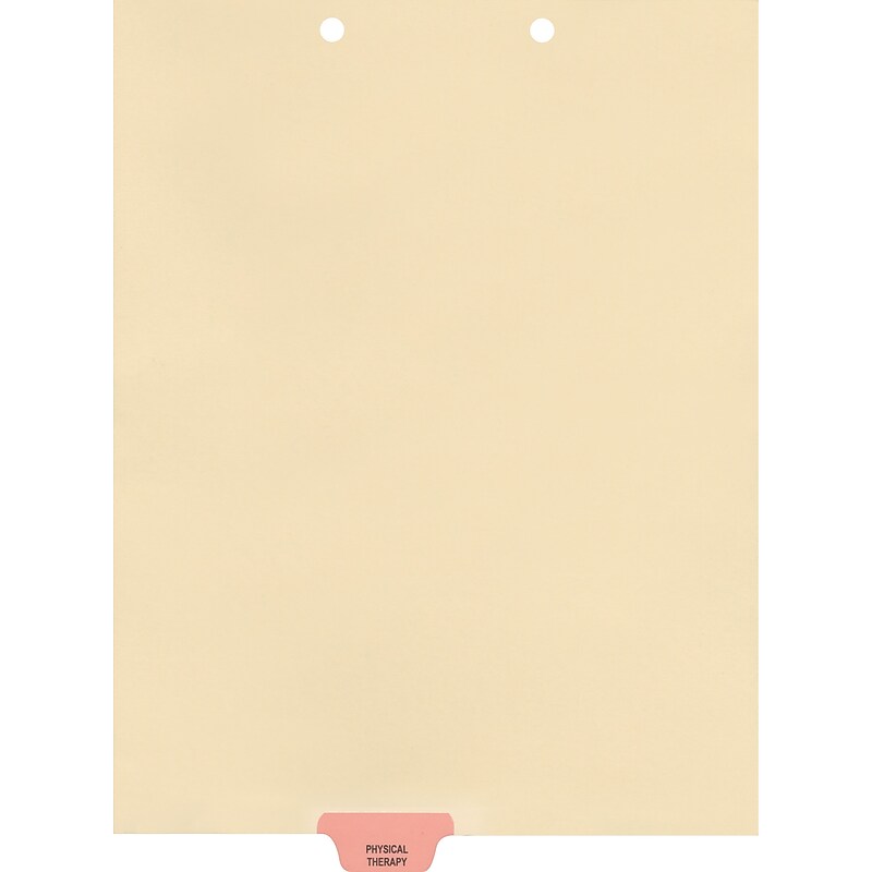 Medical Arts Press® Position 3 Colored End-Tab Chart Dividers, Physical Therapy, Pink image 1