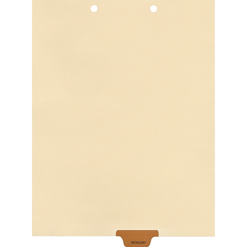 Medical Arts Press® Position 4 Colored End-Tab Chart Dividers, Pathology, Brown image 1