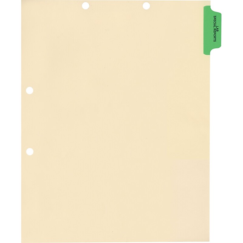 Medical Arts Press® Position 1 Colored Side-Tab Chart Dividers, Lab/Special Reports, Lt. Green image 1