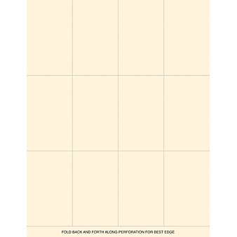 Great Papers! 2.125"H x 3.5"W Ivory Matte Place Cards, Inkjet/Laser, 120/Pack (2012234PK2)