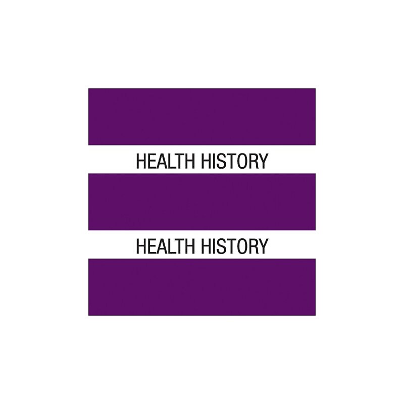 Medical Arts Press® Large Chart Divider Tabs, Health History, Purple image 1