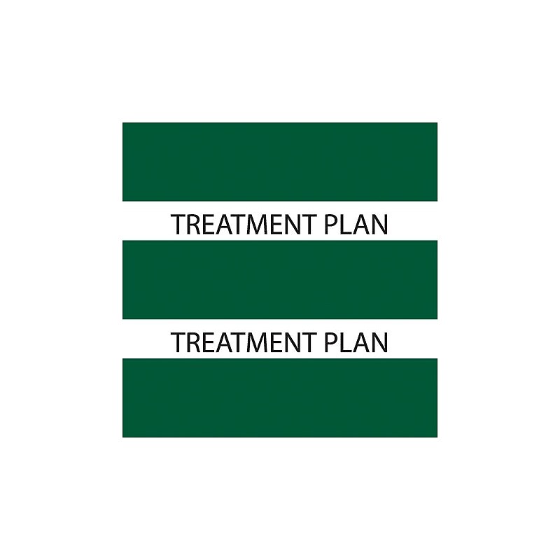 Medical Arts Press® Large Chart Divider Tabs, Treatment Plan, Dk. Green image 1