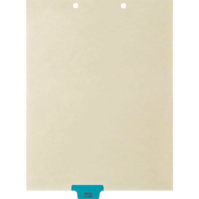 Medical Arts Press® Position 3 Colored End-Tab Chart Dividers, Special Studies, Med. Blue image 1