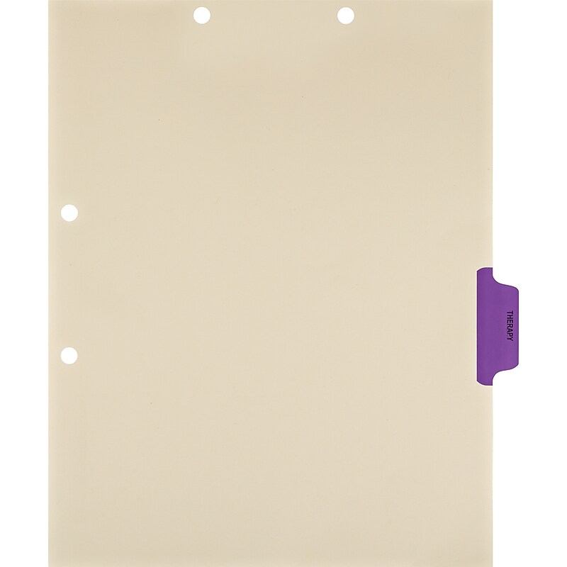Medical Arts Press® Position 4 Colored Side-Tab Chart Dividers, Therapy, Purple image 1