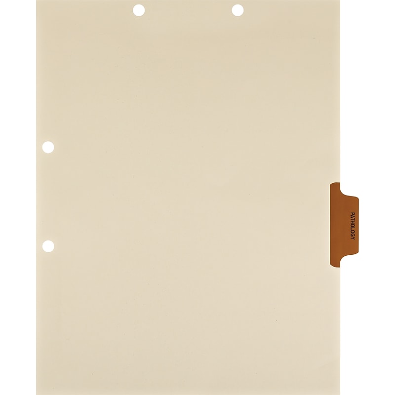 Medical Arts Press® Position 4 Colored Side-Tab Chart Dividers, Pathology, Brown image 1