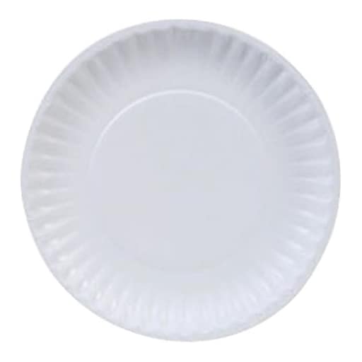  AME D'ESSENCE (1000 PACK-9) Disposable Paper Plates 9  Uncoated White Bulk Paper Plate Large : Health & Household