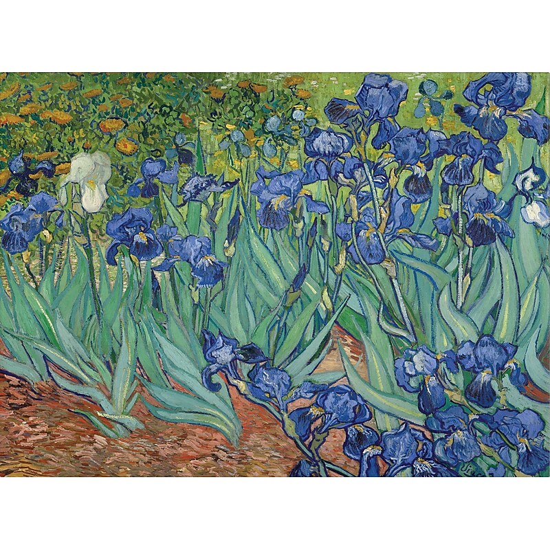 Trademark Global Vincent Van Gogh "Irises, 1889" Canvas Art, 18" x 24" image 1