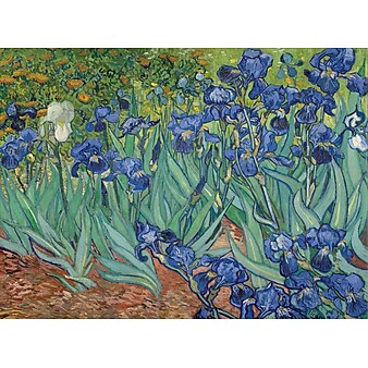 Trademark Global Vincent Van Gogh "Irises, 1889" Canvas Art, 35" x 47"
