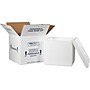 Insulated Shipping Containers, 12" x 12" x 11.5", White, Each (230C)~#|#~s0917726_sc7