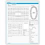 Medical Arts Press Dental Initial Exam Chart; Rainbow FormFamily (10007)~#|#~s0947203_sc7